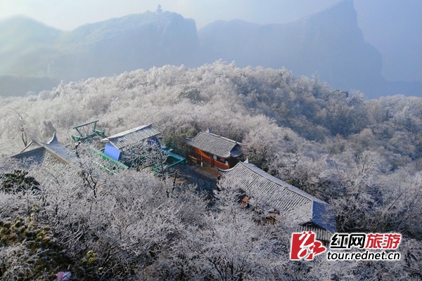 美翻了！张家界天门山雾凇宛若琼玉