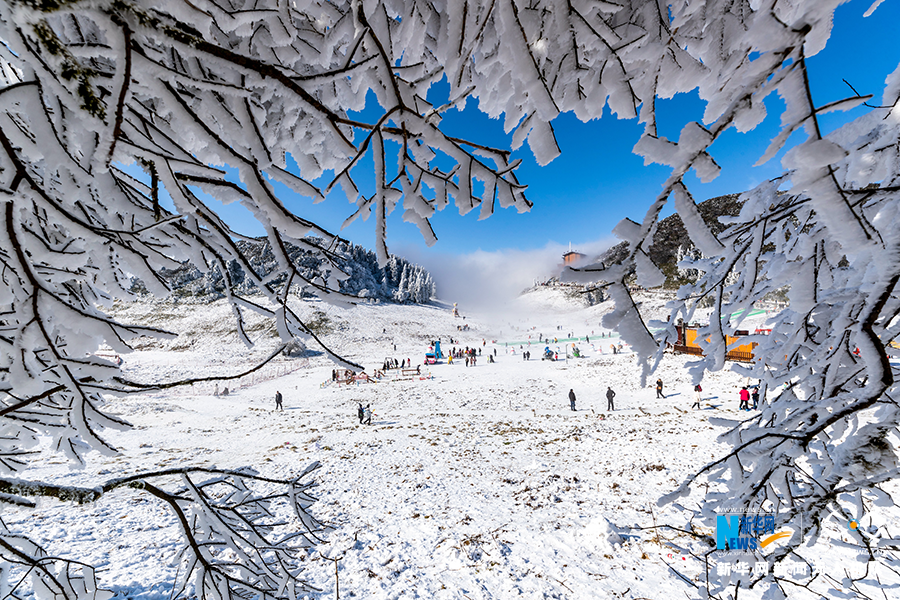 重庆金佛山的雪，气势磅礴！