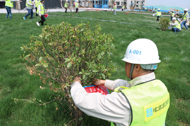 【河南供稿】中建二局郑州岳岗安置房项目开启认“廉”识别 全力打造“绿”工程