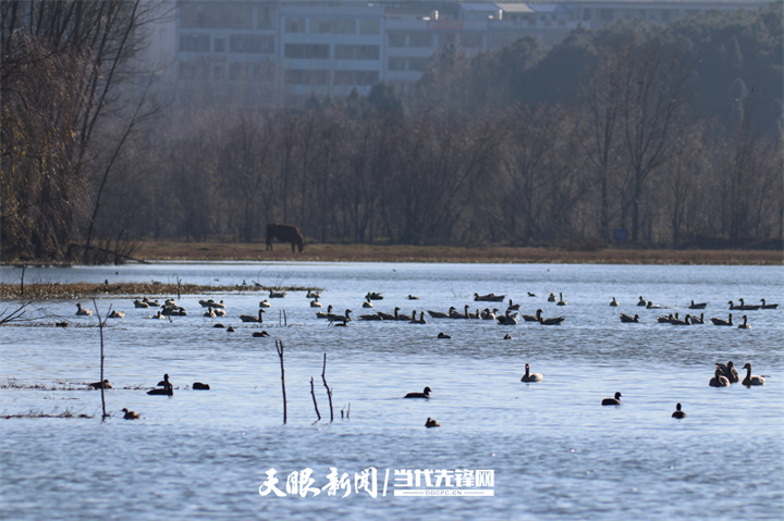 （中首）呵护“地球之肾” 贵州已建国家湿地公园45个