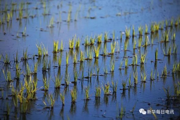 这个村70年传奇发展"简史",有你家乡"进化"的影子