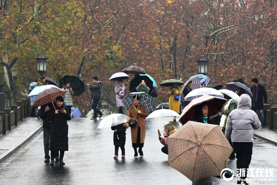 杭城冬雨绵长