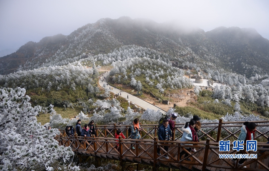 银装素裹如仙境！德化九仙山现雾凇美景