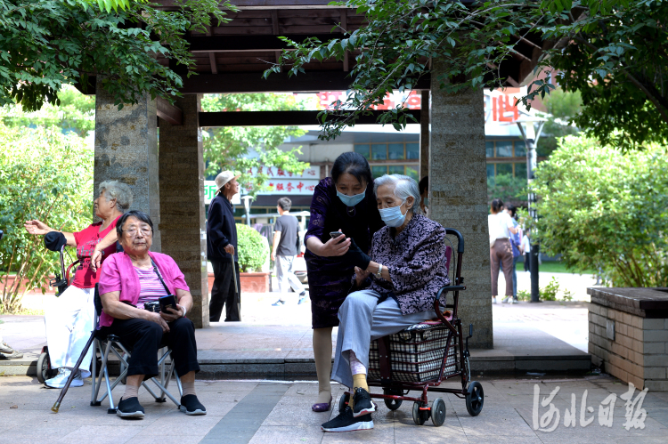 以史为鉴守初心 拼搏奋进新征程——河北省深入开展党史学习教育纪实