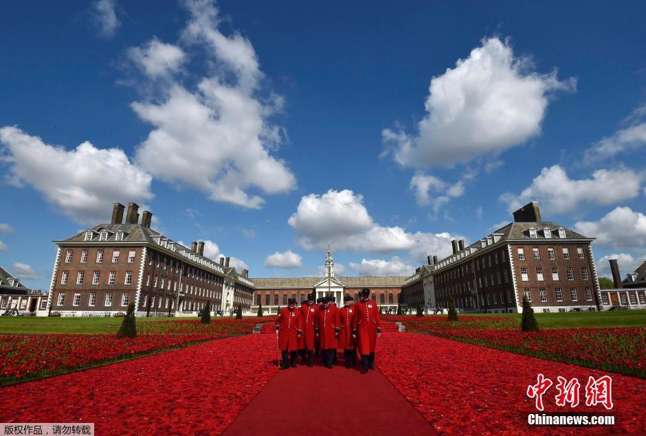 英国现红色花海 30余万朵罂粟花全手工钩织