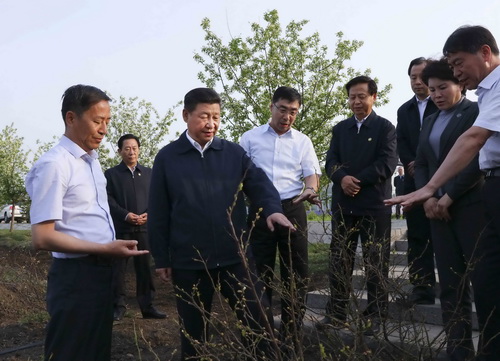 习近平总书记考察黑龙江 首站到伊春