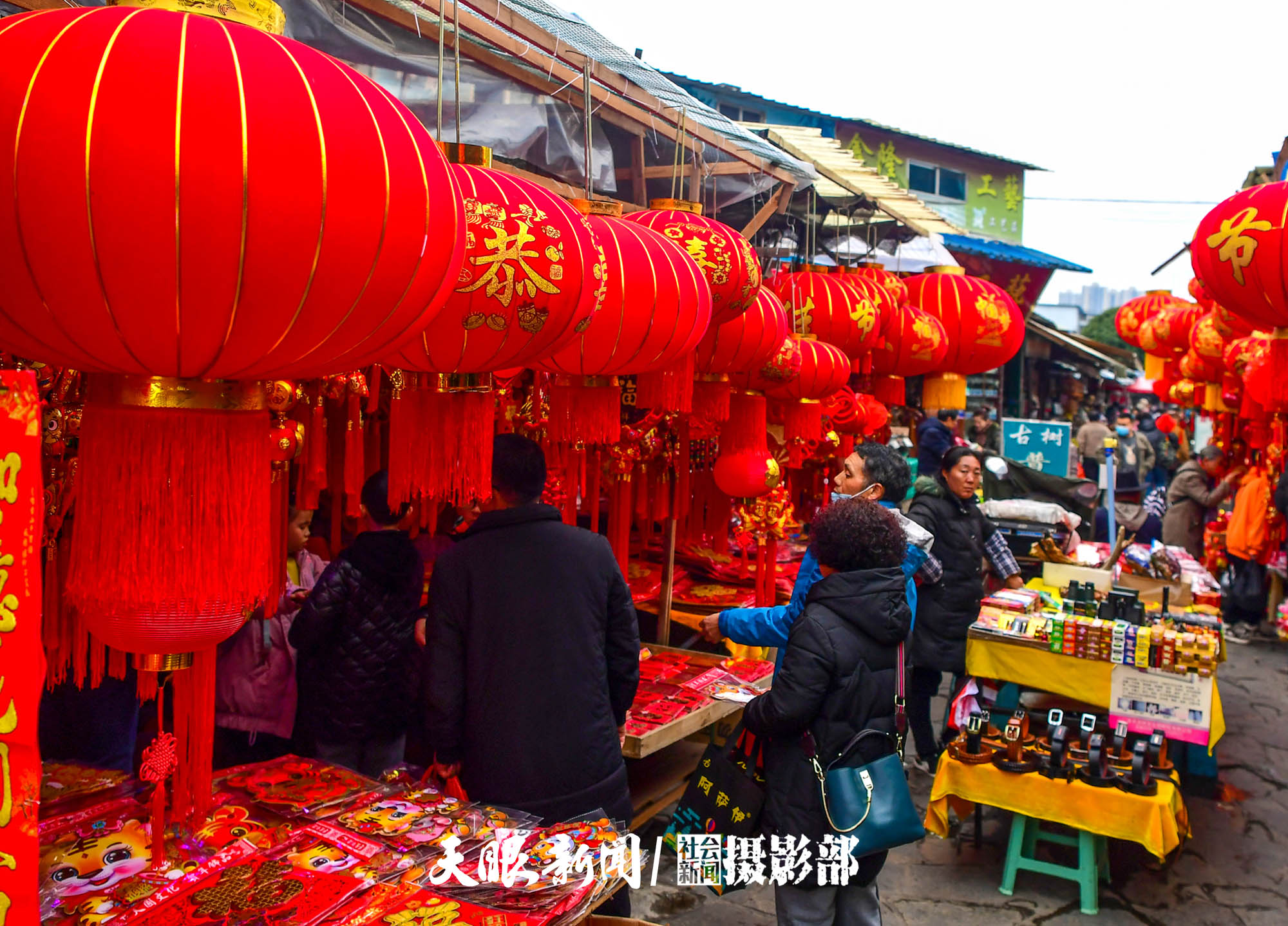 （中首）贵阳：花卉市场春意闹 姹紫嫣红迎新年