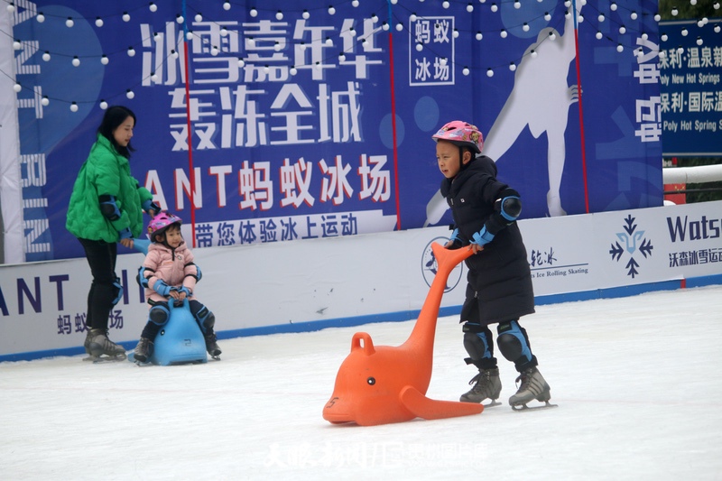 （中首）筑梦冬奥丨与鸽共舞！贵阳首家真冰滑冰场引来众多鸽子“打卡”