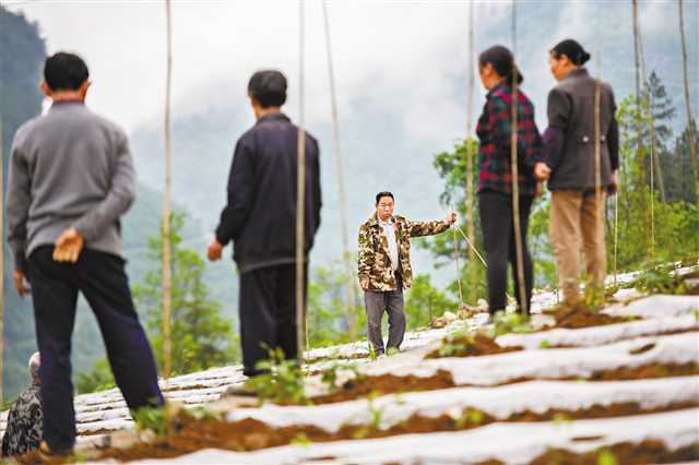 【要闻】“五小”经济助农脱贫