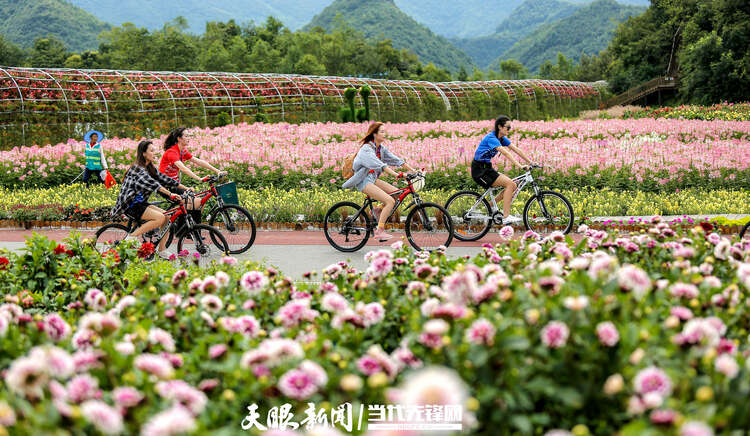 百里杜鹃鹏程街道：“林旅融合”助力乡村振兴