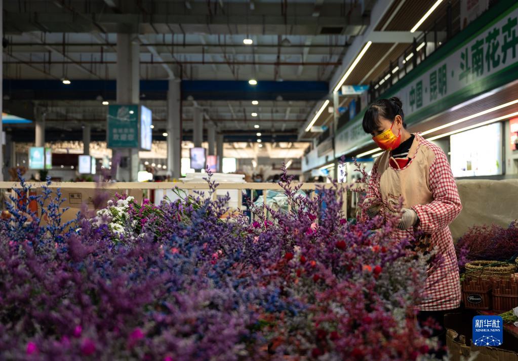 从斗南“花语”聆听奋进足音——“亚洲花都”传奇