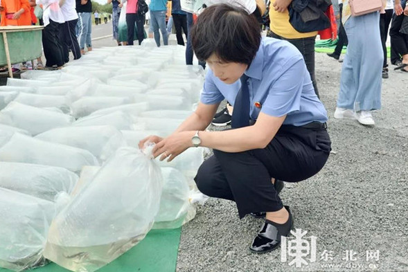 中俄两国鲟鳇鱼增殖放流活动在抚远市黑瞎子岛举行