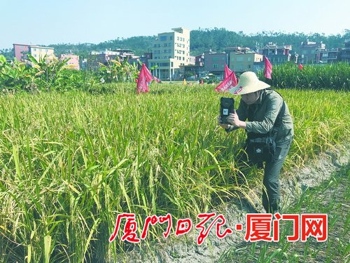 【福建时间 列表】【地市 厦门】【滚动新闻】厦门市深入落实“土十条” 严打土壤污染“突破战”