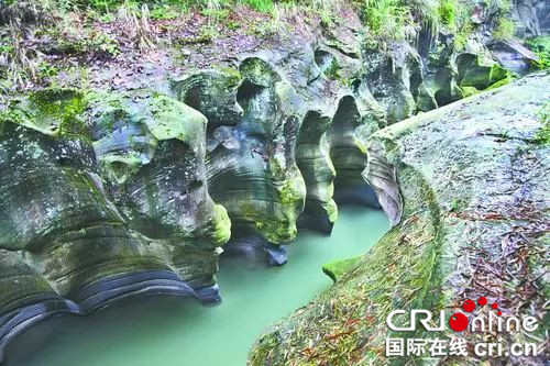 已过审【科教 图文】重庆大学教授野外考察发现龙吟雕岩谷