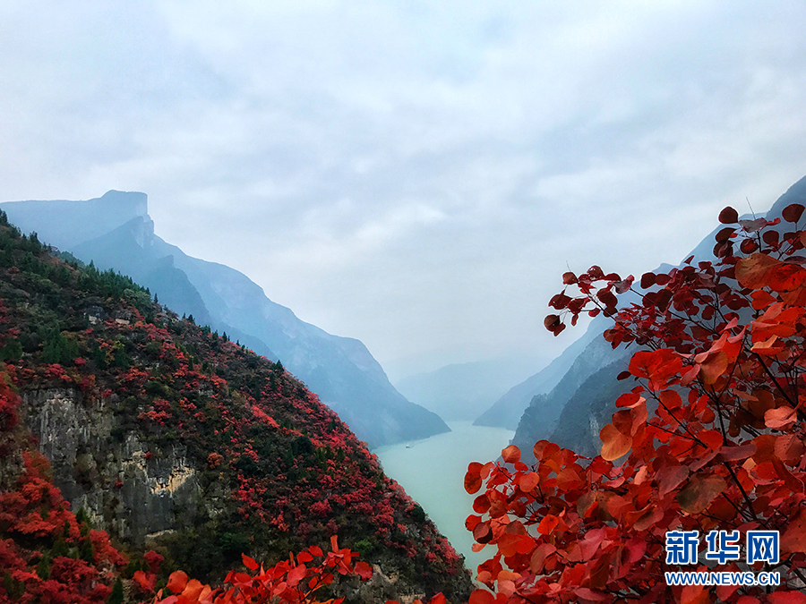 瞿塘峡两岸层林尽染 红叶青山水急流