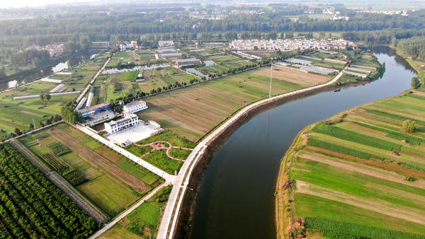 【城市远洋】信阳“水上花园”王湾村：村中见林 房在绿中 人在画中