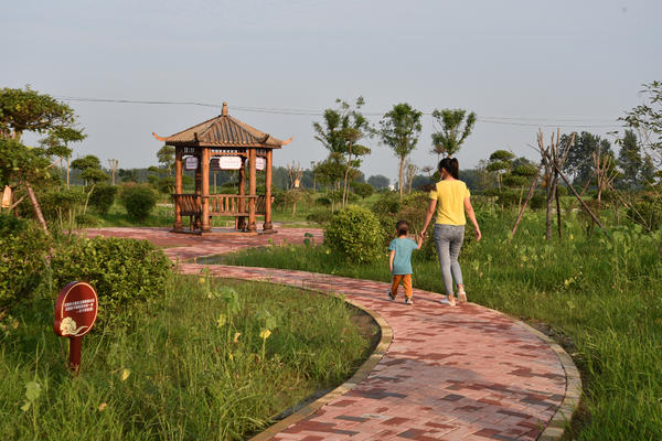 【城市远洋】信阳“水上花园”王湾村：村中见林 房在绿中 人在画中