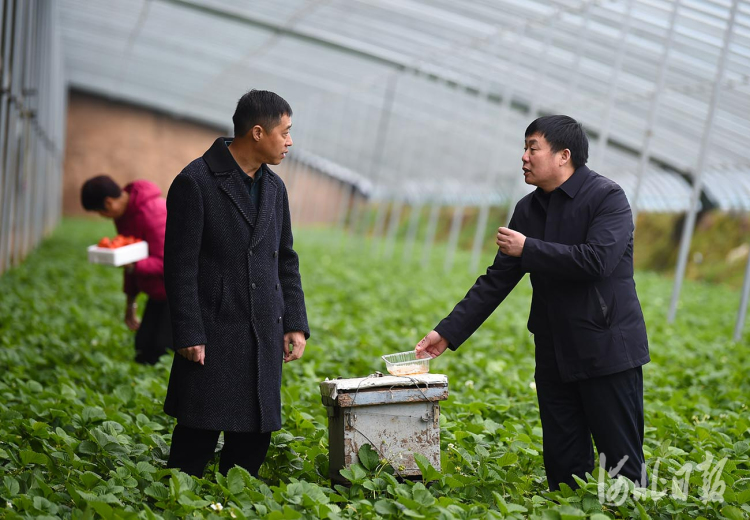 河北宁晋：以督增效助力乡村振兴