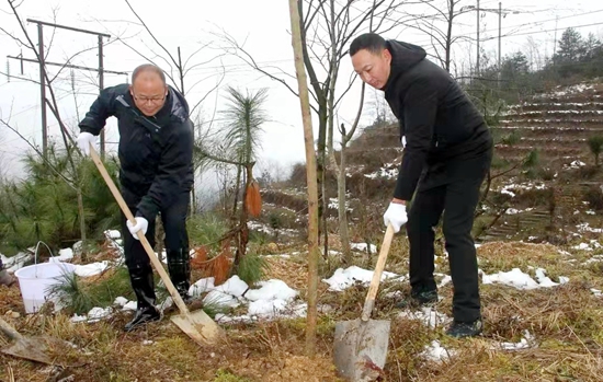 （供稿）六盘水市水城区开展2022 年义务植树活动_fororder_水城2