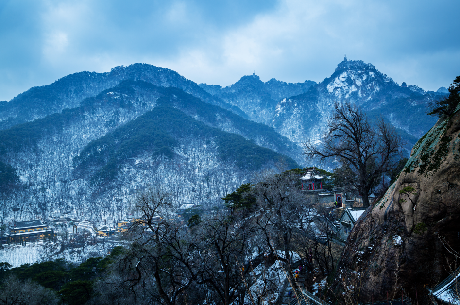 一网全国 云动百城 2022沈阳都市旅游圈全国百城营销推广计划启动_fororder_4