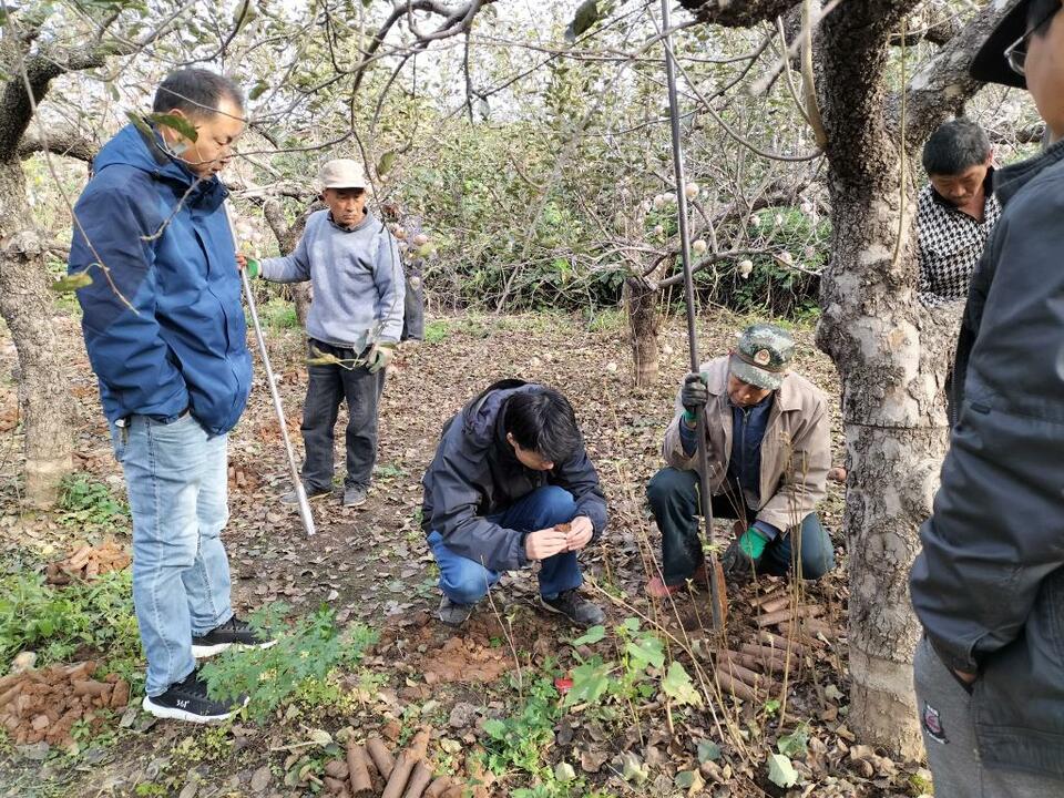 殷墟商王陵区新发现围沟及400余座祭祀坑