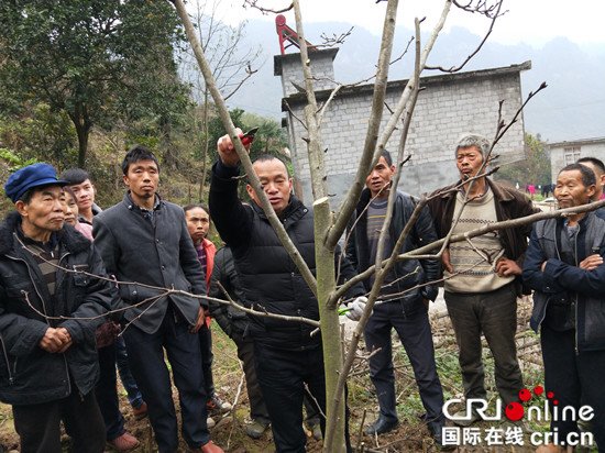 已过审【区县联动】武隆群力村：技术帮扶贫困村民脱贫增收