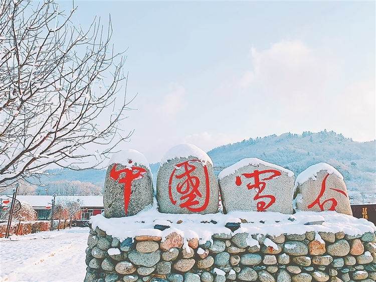 蹦雪极 坐马车 雪野撒欢儿