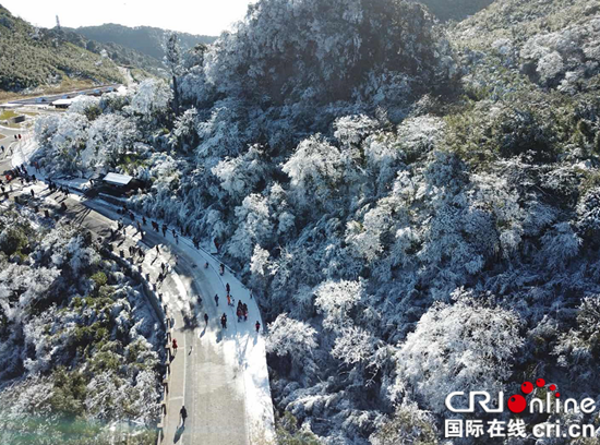 已过审【CRI专稿 图文】第十九届金佛山冰雪温泉节开幕【内容页标题】体验冰雪狂欢盛宴 第十九届金佛山冰雪温泉节开幕