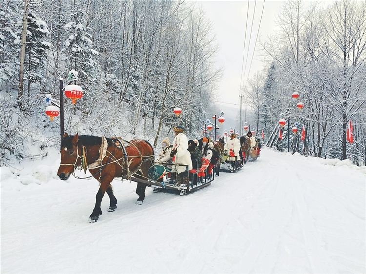 蹦雪极 坐马车 雪野撒欢儿