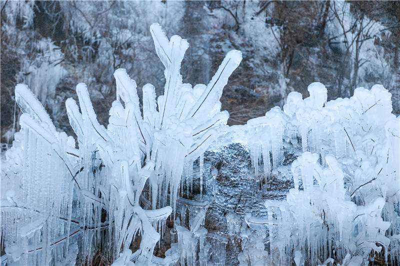 大寒时节迎降雪 河南云台山雪景雾凇美若仙境_fororder_微信图片_20220121094437