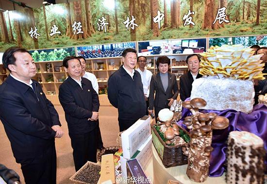 习总书记三进黑土地 为经济结构转型把脉开方