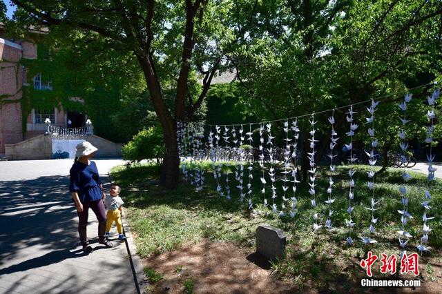 杨绛先生去世 清华学子千只纸鹤寄哀思