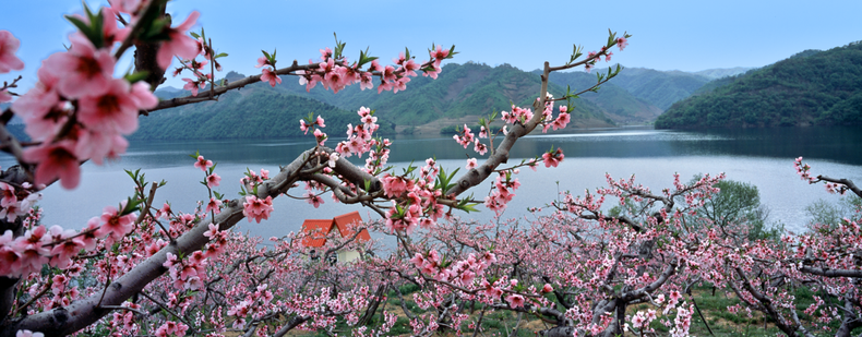 登山看海 赏枫嬉雪 四季旅游就来辽宁