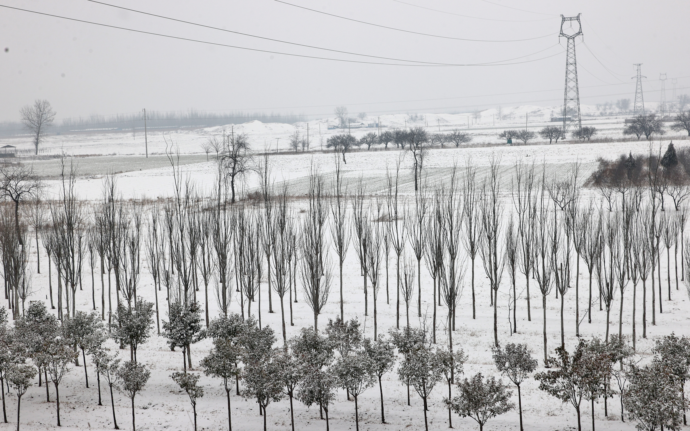 陕西大荔最大的内陆沙漠雪韵：如诗如画再现“北国风光”_fororder_WechatIMG100