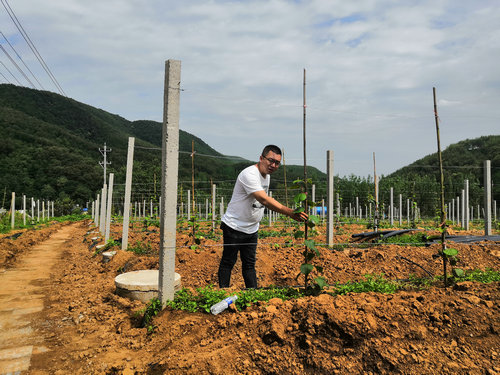 【河南供稿】河南鲁山县扶贫书记许秋白：驻村路上洒汗水