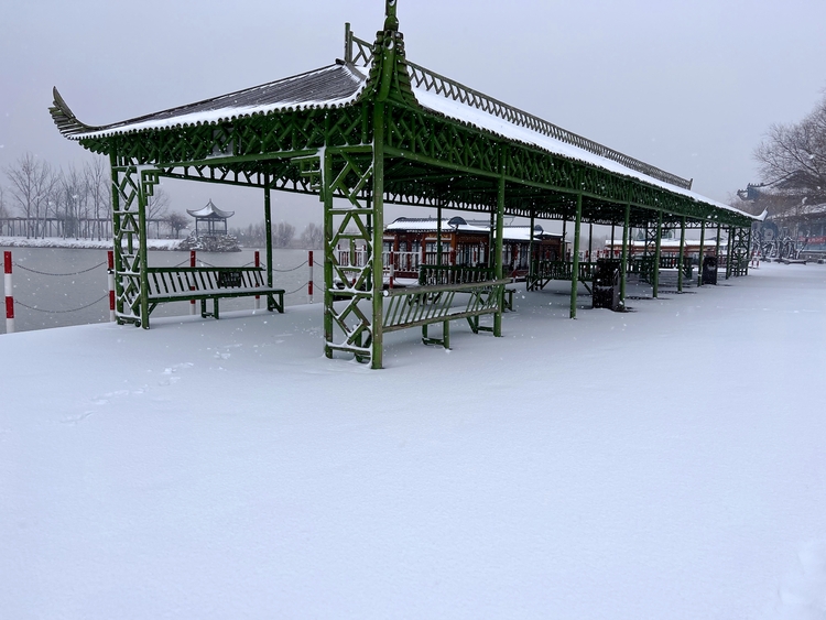 【云游渭南】2022年，雪遇黄河岸边的北国江南——洽川！_fororder_WechatIMG117