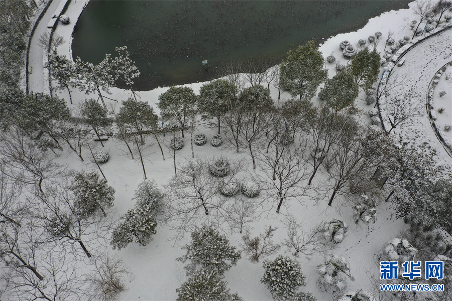 雪落中原如诗画