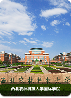 西北农林科技大学国际学院_fororder_05