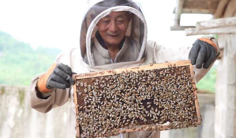 【B】重庆忠县驻村队员马春洪：甘把青春献山村 “四心”扶贫拔穷根