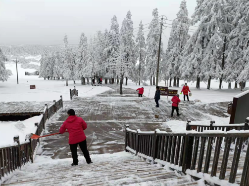 【原创】重庆武隆：全区联动连夜除雪 各景区畅通无阻_fororder_微信图片_20220202132329