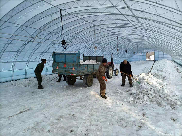 抢前抓早备春耕 清雪扣棚争主动_fororder_微信图片_20220207091024