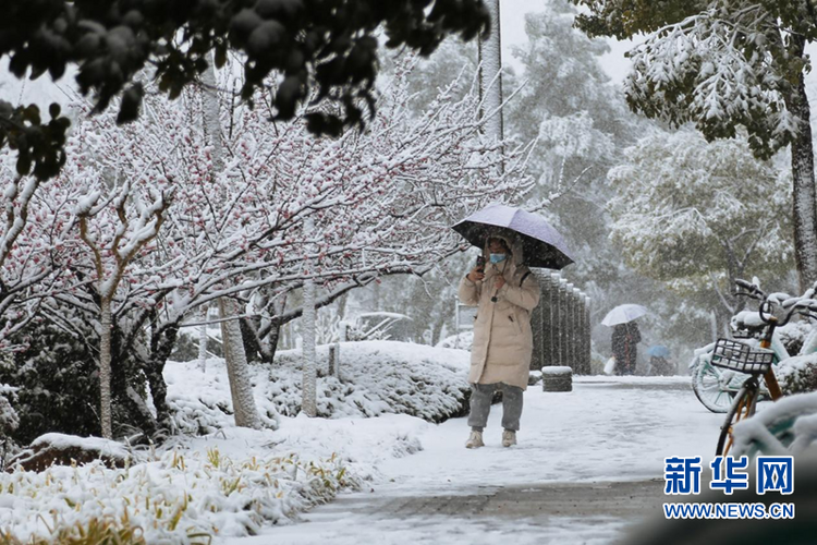 瑞雪兆金陵 虎年“开工雪”来啦