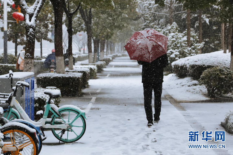 瑞雪兆金陵 虎年“开工雪”来啦