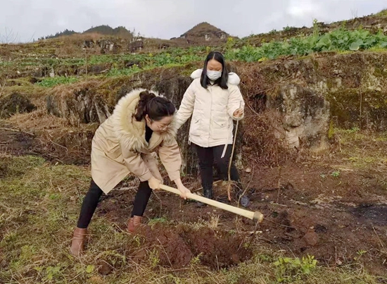 （供稿）安顺关岭举行2022年义务植树活动_fororder_关岭2