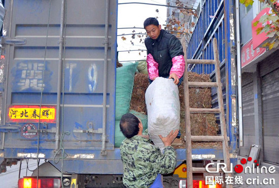 已过审【区县联动】【石柱】【区县联动 二级页面】石柱县马武中药材进“药都”销往全国