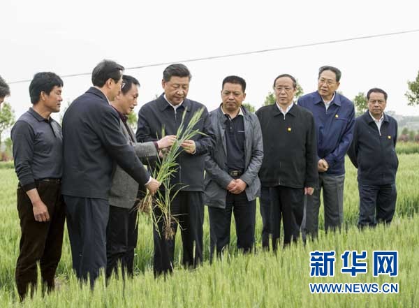 习近平指明了，农村改革应该这样推进