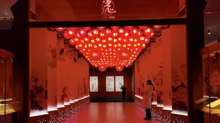 【新春走基层】视频丨虎年看虎展！来国博感受虎文化