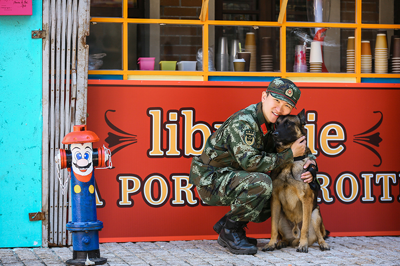 奇兵神犬赵一诺冠军图片