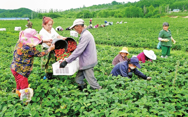 日华光暖向阳枝——白山市促消费稳增长纪实