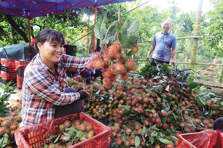 【焦点图】【市县】【即时快讯】保亭：而立之年 风华正茂